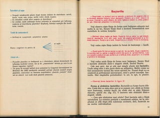 Botanica v 1986-noevol