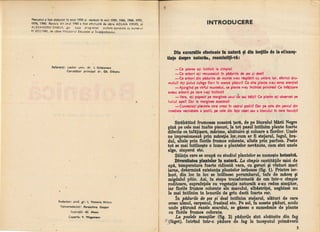 Botanica v 1986-noevol