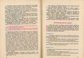 Botanica v 1986-noevol