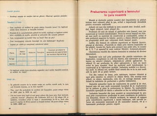 Botanica v 1986-noevol