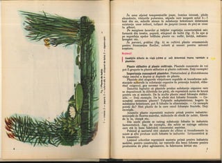 Botanica v 1986-noevol