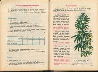 Botanica v 1986-noevol