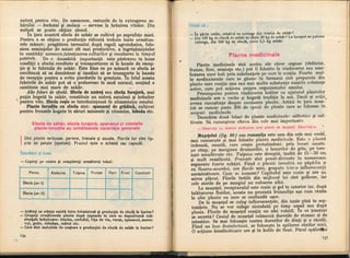 Botanica v 1986-noevol