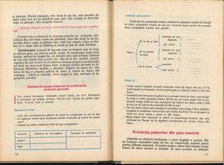 Botanica v 1986-noevol