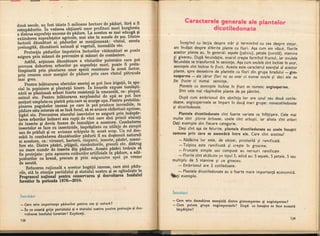 Botanica v 1986-noevol