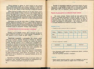 Botanica v 1986-noevol