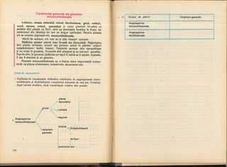 Botanica v 1986-noevol