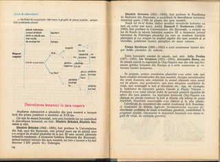 Botanica v 1986-noevol