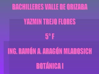 BACHILLERES VALLE DE ORIZABA YAZMIN TREJO FLORES 5° F ING. RAMÓN A. ARAGÓN MLADOSICH BOTÁNICA I 