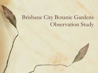 Brisbane City Botanic Gardens
            Observation Study
 