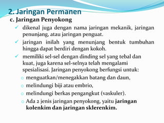2. Jaringan Permanen
c. Jaringan Penyokong
 dikenal juga dengan nama jaringan mekanik, jaringan
penunjang, atau jaringan penguat.
 jaringan inilah yang menunjang bentuk tumbuhan
hingga dapat berdiri dengan kokoh.
 memiliki sel-sel dengan dinding sel yang tebal dan
kuat, juga karena sel-selnya telah mengalami
spesialisasi. Jaringan penyokong berfungsi untuk:
o menguatkan/menegakkan batang dan daun,
o melindungi biji atau embrio,
o melindungi berkas pengangkut (vaskuler).
o Ada 2 jenis jaringan penyokong, yaitu jaringan
kolenkim dan jaringan sklerenkim.
 