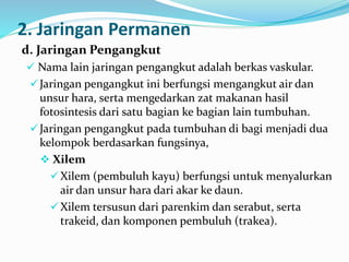 2. Jaringan Permanen
d. Jaringan Pengangkut
 Nama lain jaringan pengangkut adalah berkas vaskular.
Jaringan pengangkut ini berfungsi mengangkut air dan
unsur hara, serta mengedarkan zat makanan hasil
fotosintesis dari satu bagian ke bagian lain tumbuhan.
Jaringan pengangkut pada tumbuhan di bagi menjadi dua
kelompok berdasarkan fungsinya,
 Xilem
Xilem (pembuluh kayu) berfungsi untuk menyalurkan
air dan unsur hara dari akar ke daun.
Xilem tersusun dari parenkim dan serabut, serta
trakeid, dan komponen pembuluh (trakea).
 