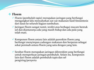  Floem
 Floem (pembuluh tapis) merupakan jaringan yang berfungsi
mengangkut lalu menyalurkan zat-zat makanan hasil fotosintesis
dari daun ke seluruh bagian tumbuhan.
 Jaringan floem sangat rumit, terdiri atas berbagai macam bentuk
sel dan diantaranya ada yang masih hidup dan ada pula yang
telah mati.
 Komponen floem antara lain adalah parenkim floem yang
berfungsi menyimpan cadangan makanan dan berperan sebagai
sekat pemisah antara floem yang satu dengan yang lain.
 Serabut floem merupakan jaringan sklerenkim yang berfungsi
untuk memperkuat jaringan pembuluh. Selain itu, komponen
lain dari floem adalah pembuluh tapis dan sel
pengiring/penyerta
 