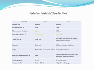 Perbedaan Pembuluh Xilem dan Floem
Karakteristik Xilem Floem
Tersusun dari Sel mati Sel hidup
Ketebalan dinding sel Tebal Tipis
Bahan penyusun dinding sel Lignin Selulosa
Permeabilitas dinding sel Impermeabel Permeabel
Lubang antar sel Tidak ada
Ada lubang antar dinding sel disebut
pembuluh ayak/saringan
Sitoplasma Tidak ada Sel dibatasi dengan sitoplasma
Fungsi Mengangkut air dan garam mineral Mengangkut makanan
Bahan yang diangkut dibawa ke Daun
Bagian yang sedang tumbuh dan organ
penyimpan cadangan makanan
Arah pengangkutan Ke atas Ke atas dan bawah
Jaringan memiliki Serabut (Fibre) Sel ganda/pendamping
 
