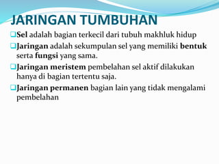JARINGAN TUMBUHAN
Sel adalah bagian terkecil dari tubuh makhluk hidup
Jaringan adalah sekumpulan sel yang memiliki bentuk
serta fungsi yang sama.
Jaringan meristem pembelahan sel aktif dilakukan
hanya di bagian tertentu saja.
Jaringan permanen bagian lain yang tidak mengalami
pembelahan
 