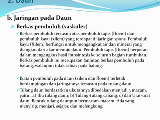2. Daun
b. Jaringan pada Daun
 Berkas pembuluh (vaskuler)
Berkas pembuluh tersusun atas pembuluh tapis (floem) dan
pembuluh kayu (xilem) yang terdapat di jaringan spons. Pembuluh
kayu (Xilem) berfungsi untuk mengangkut air dan mineral yang
diangkut dari akar menuju daun. Pembuluh tapis (floem) berperan
dalam mengangkus hasil fotosintesis ke seluruh bagian tumbuhan.
Berkas pembuluh ini merupakan lanjutan berkas pembuluh pada
batang, walaupun tidak seluas pada batang.
Ikatan pembuluh pada daun (xilem dan floem) terletak
berdampingan dan jaringannya tersusun pada tulang daun.
Tulang daun berdasarkan ukurannya dibedakan menjadi 3 macam,
yaitu : a) Ibu tulang daun; b) Tulang-tulang cabang; c) dan Urat-urat
daun. Bentuk tulang daunpun bermacam-macam. Ada yang
menyirip, menjari, sejajar, dan melengkung.
 