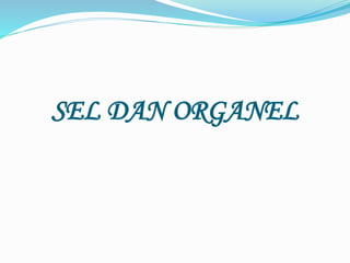 SEL DAN ORGANEL
 