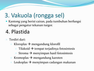 3. Vakuola (rongga sel)
 Kantong yang berisi cairan, pada tumbuhan berfungsi
sebagai pengatur tekanan turgor.
4. Plastida
 Terdiri dari:
 Kloroplas  mengandung klorofil
 Tilakoid  tempat terjadinya fotosintesis
 Stroma  menyimpan hasil fotosintesis
 Kromoplas  mengandung karoten
 Leukoplas  menyimpan cadangan makanan
 