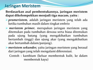Jaringan Meristem
Berdasarkan asal pembentukannya, jaringan meristem
dapat dikelompokkan menjadi tiga macam, yaitu :
 promeristem, adalah jaringan meristem yang telah ada
ketika tumbuhan masih dalam tingkat embrio
 meristem primer, merupakan jaringan meristem yang
ditemukan pada tumbuhan dewasa serta biasa ditemukan
pada ujung batang (yang mengakibatkan tumbuhan
bertambah tinggi) dan ujung akar (yang mengakibatkan
akar bertambah dalam/panjang).
 meristem sekunder, yaitu jaringan meristem yang berasal
dari jaringan yang telah mengalami diferensiasi.
Contoh : kambium (keluar membentuk kulit, ke dalam
membentuk kayu)
 