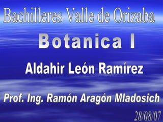Bachilleres Valle de Orizaba Botanica I Aldahir León Ramírez Prof. Ing. Ramón Aragón Mladosich 28/08/07 