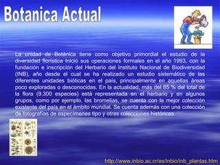 Botanica Actual La unidad de Botánica tiene como objetivo primordial el estudio de la diversidad florística Inició sus operaciones formales en el año 1993, con la fundación e inscripción del Herbario del Instituto Nacional de Biodiversidad (INB), año desde el cual se ha realizado un estudio sistemático de las diferentes unidades bióticas en el país, principalmente en aquellas áreas poco exploradas o desconocidas. En la actualidad, más del 85 % del total de la flora (9.300 especies) está representada en el herbario y en algunos grupos, como por ejemplo, las bromelias, se cuenta con la mejor colección existente del país en el ámbito mundial. Se cuenta además con una colección de fotografías de especímenes tipo y otras colecciones históricas.  http:// www.inbio.ac.cr /es/ inbio / inb_plantas.htm 