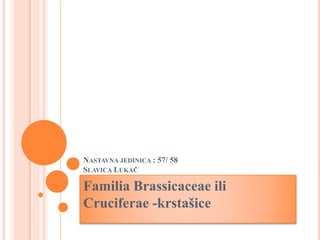 NASTAVNA JEDINICA : 57/ 58
SLAVICA LUKAČ
Familia Brassicaceae ili
Cruciferae -krstašice
 