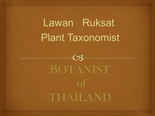 Lawan Ruksat
Plant Taxonomist
 