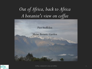 Out of Africa, back to Africa
A botanist's view on coffee
Piet Stoffelen
Meise Botanic Garden
1Coffea: a botanist‘s view on Coffee
 