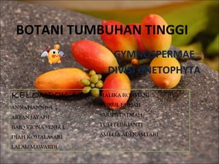 BOTANI TUMBUHAN TINGGI
GYMNOSPERMAE
DIVISI GNETOPHYTA
 