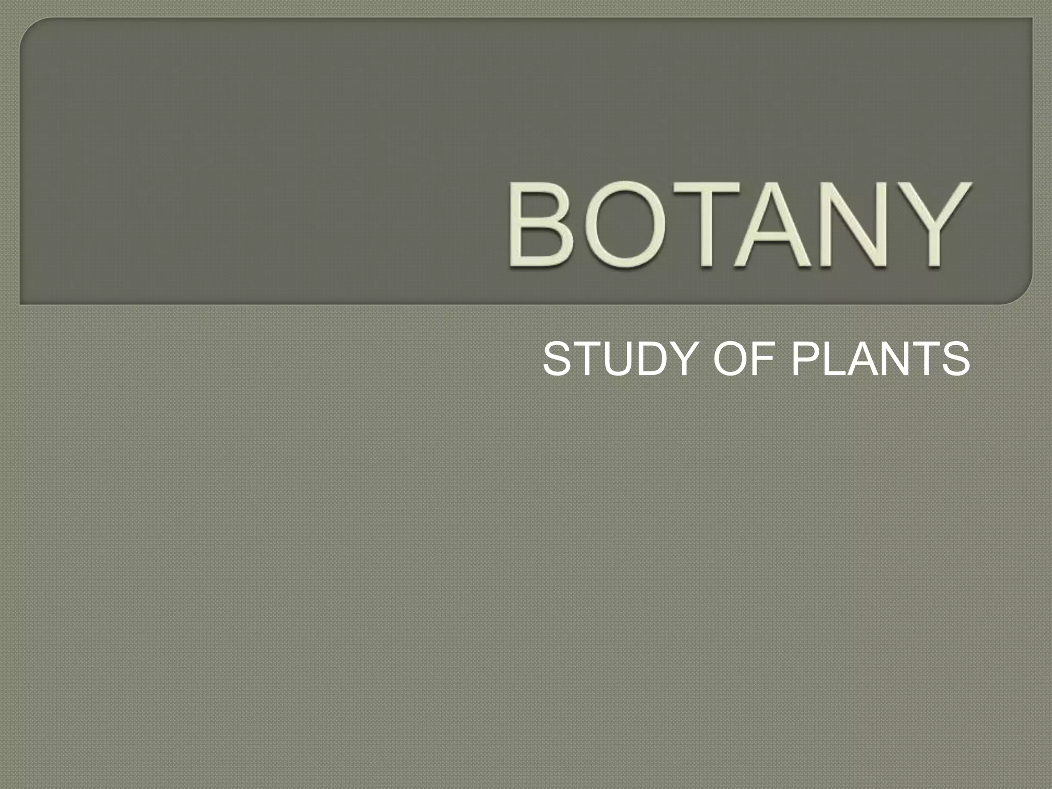 Botany Study Of Plants Ppt Ppt Botany Study Of Plants Ppt Ppt