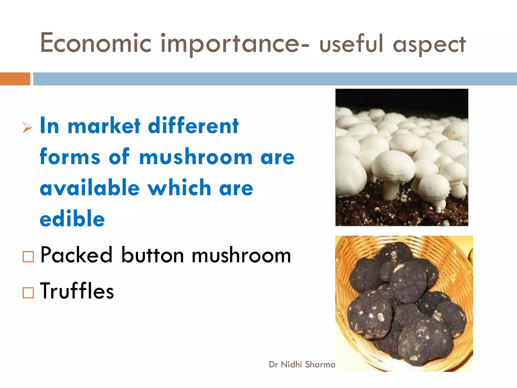 Economic importance- useful aspect

 In market different
  forms of mushroom are
  available which are
  edible
 Packed button mushroom

 Truffles



                      Dr Nidhi Sharma
 