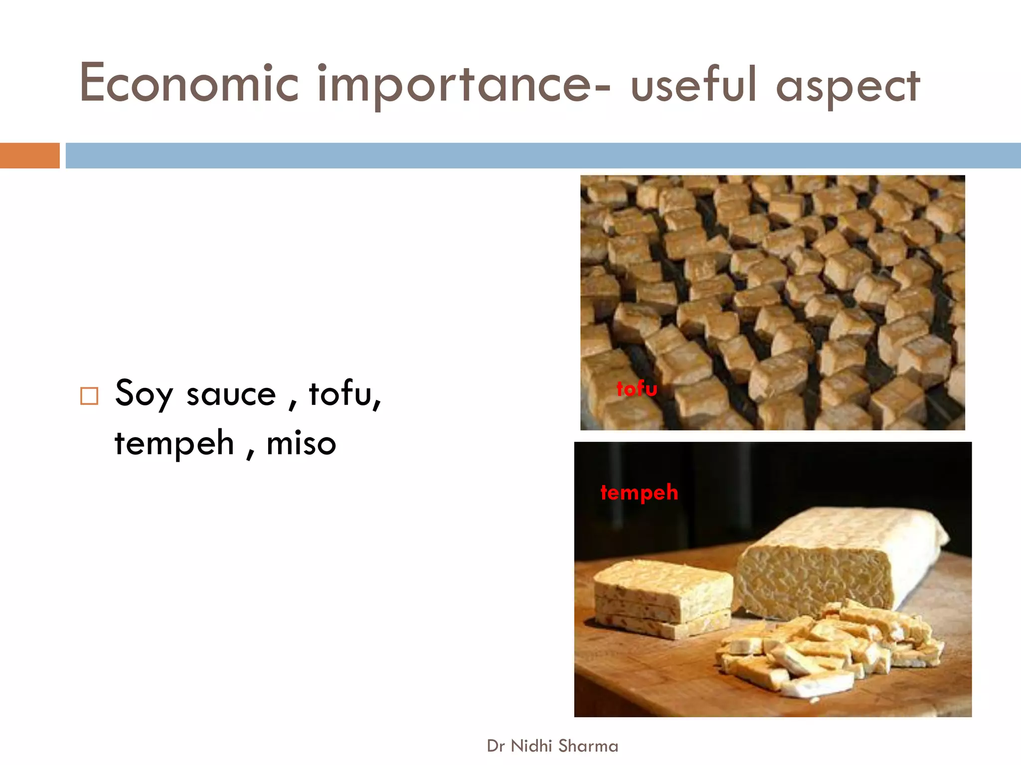 Economic importance- useful aspect



   Soy sauce , tofu,                 tofu

    tempeh , miso
                                    tempeh




                        Dr Nidhi Sharma
 