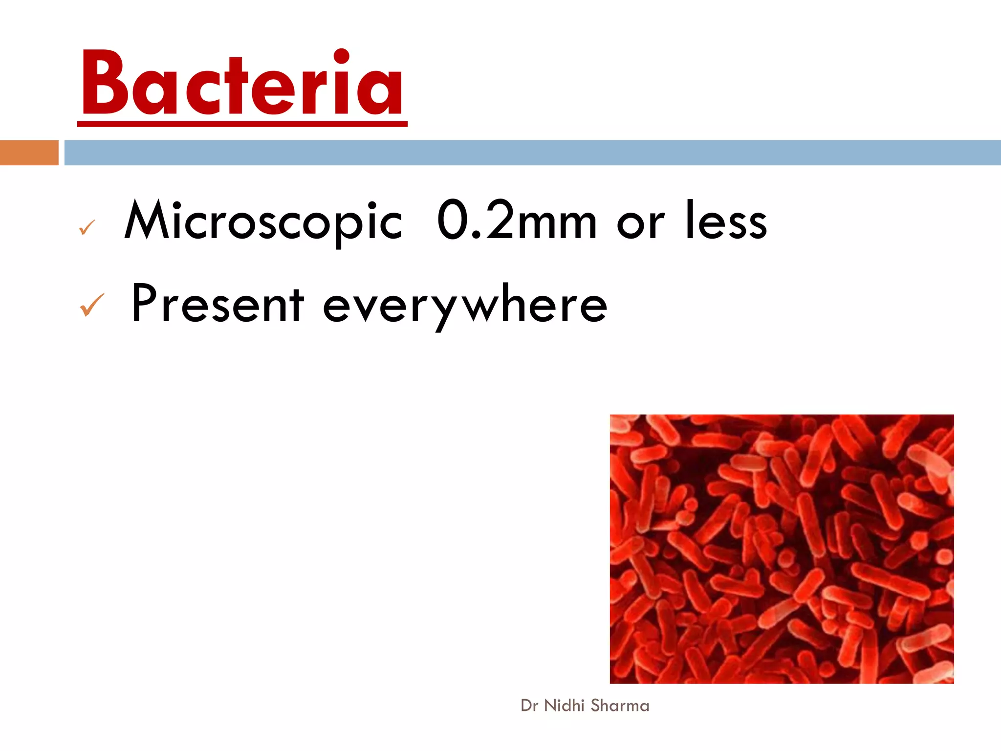 Bacteria
 Microscopic 0.2mm or less
 Present everywhere




                 Dr Nidhi Sharma
 