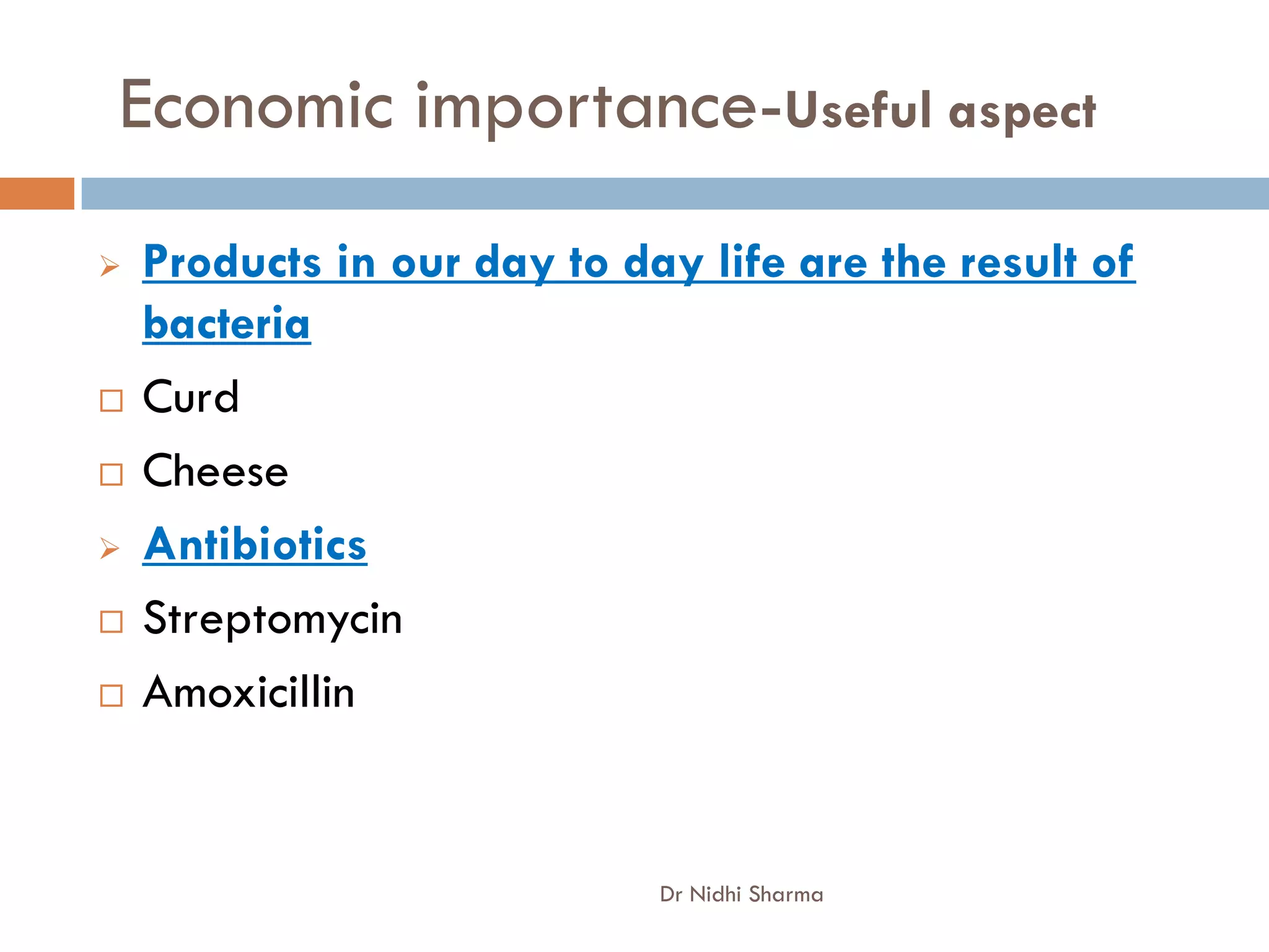 Economic importance-Useful aspect
   Products in our day to day life are the result of
    bacteria
   Curd
   Cheese
   Antibiotics
   Streptomycin
   Amoxicillin


                             Dr Nidhi Sharma
 