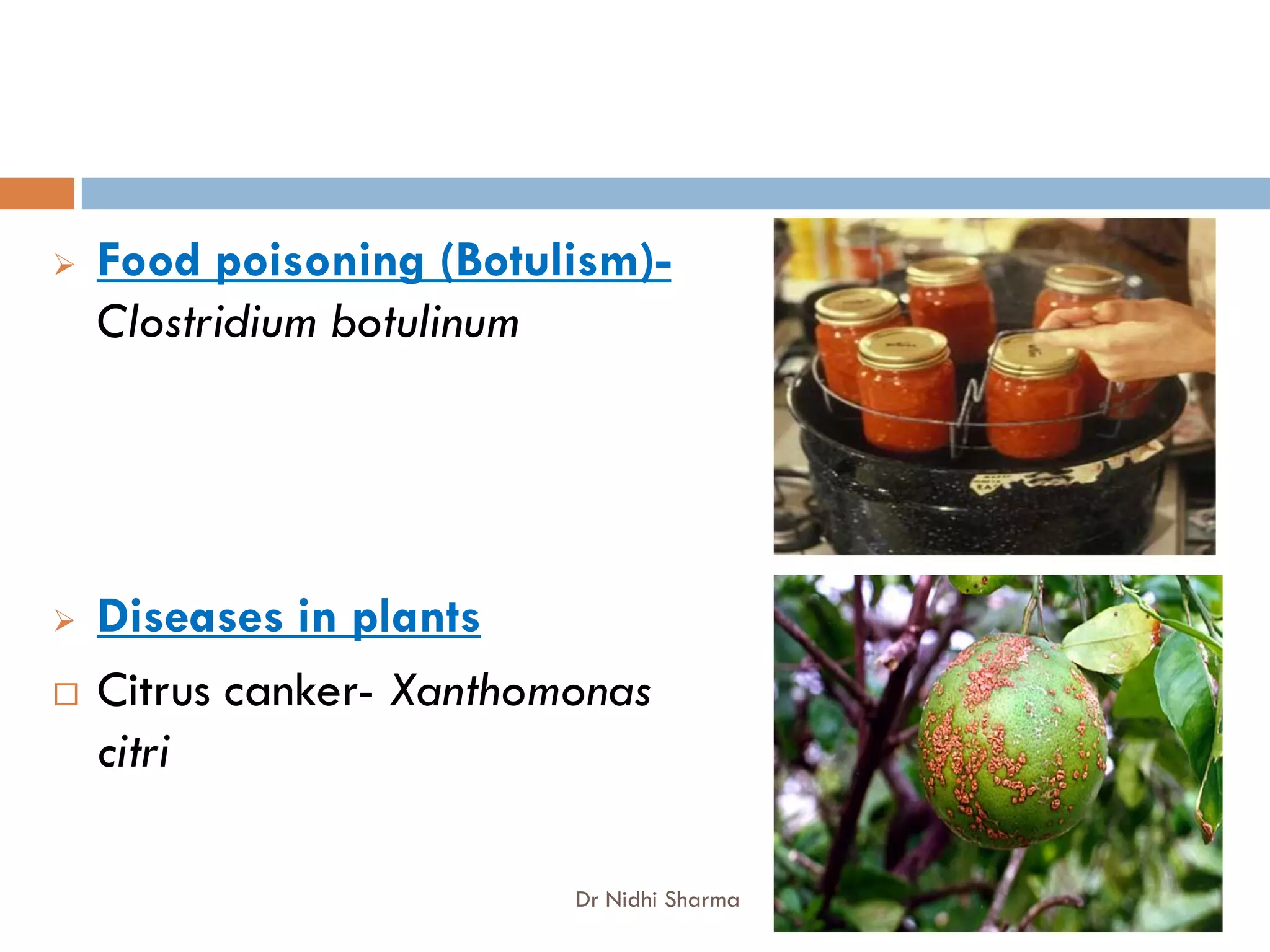    Food poisoning (Botulism)-
    Clostridium botulinum




   Diseases in plants
   Citrus canker- Xanthomonas
    citri

                          Dr Nidhi Sharma
 
