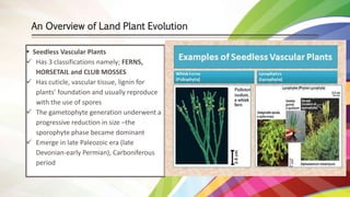 Plant Evolution, Extinction and Hybridization | PPTX