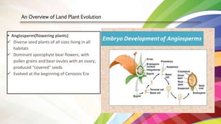 Plant Evolution, Extinction and Hybridization | PPTX