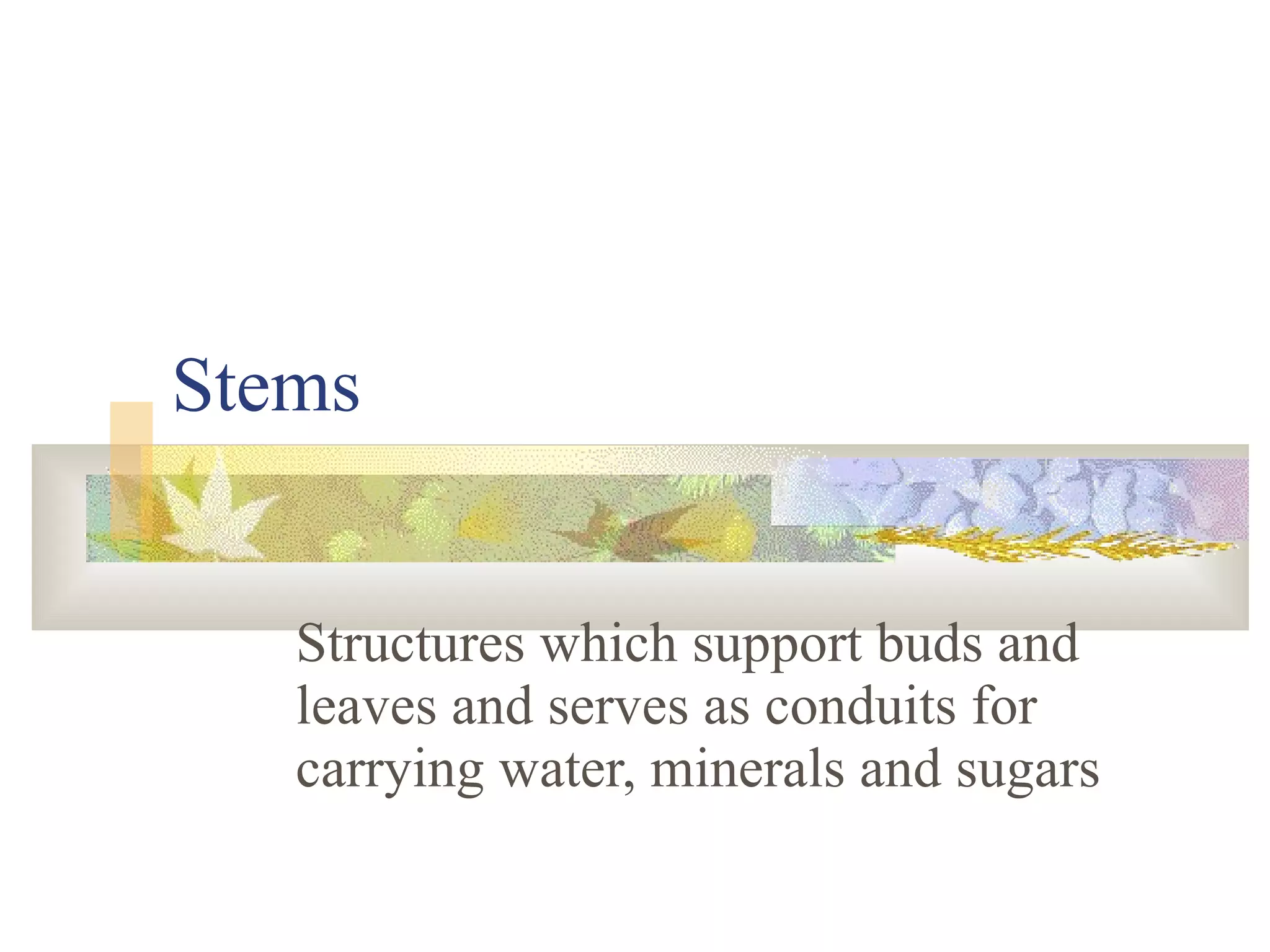Stems Structures which support buds and leaves and serves as conduits for carrying water, minerals and sugars 