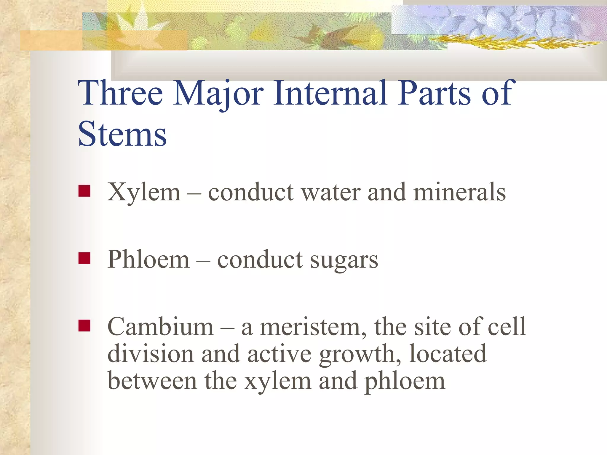 Three Major Internal Parts of Stems Xylem – conduct water and minerals Phloem – conduct sugars  Cambium – a meristem, the site of cell division and active growth, located between the xylem and phloem 