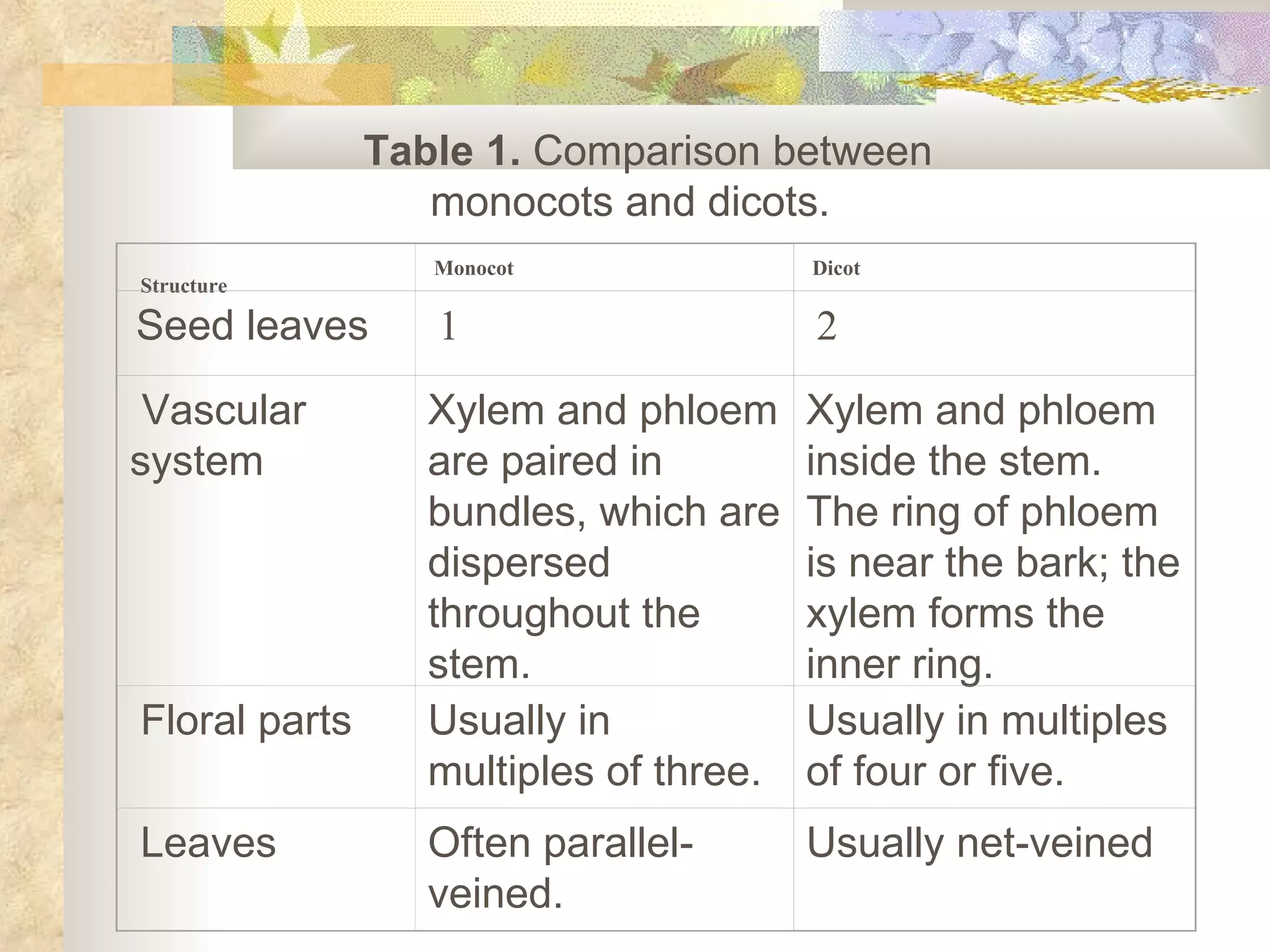     Table 1.  Comparison between monocots and dicots.   Structure   Monocot   Dicot   Seed leaves   1   2   Vascular system Xylem and phloem are paired in bundles, which are dispersed throughout the stem. Xylem and phloem inside the stem. The ring of phloem is near the bark; the xylem forms the inner ring.   Floral parts Usually in multiples of three. Usually in multiples of four or five.   Leaves Often parallel-veined. Usually net-veined 