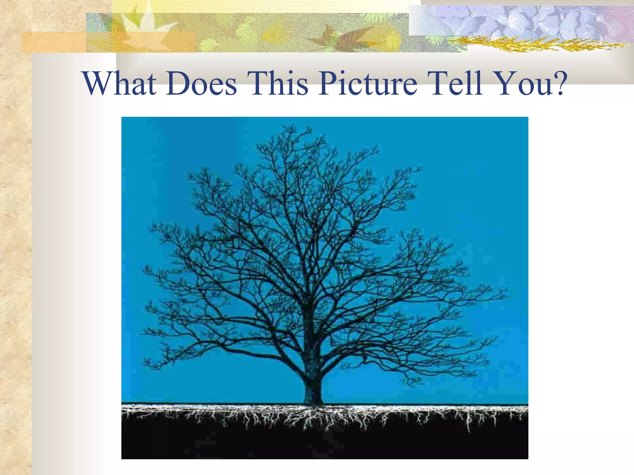 What Does This Picture Tell You? 