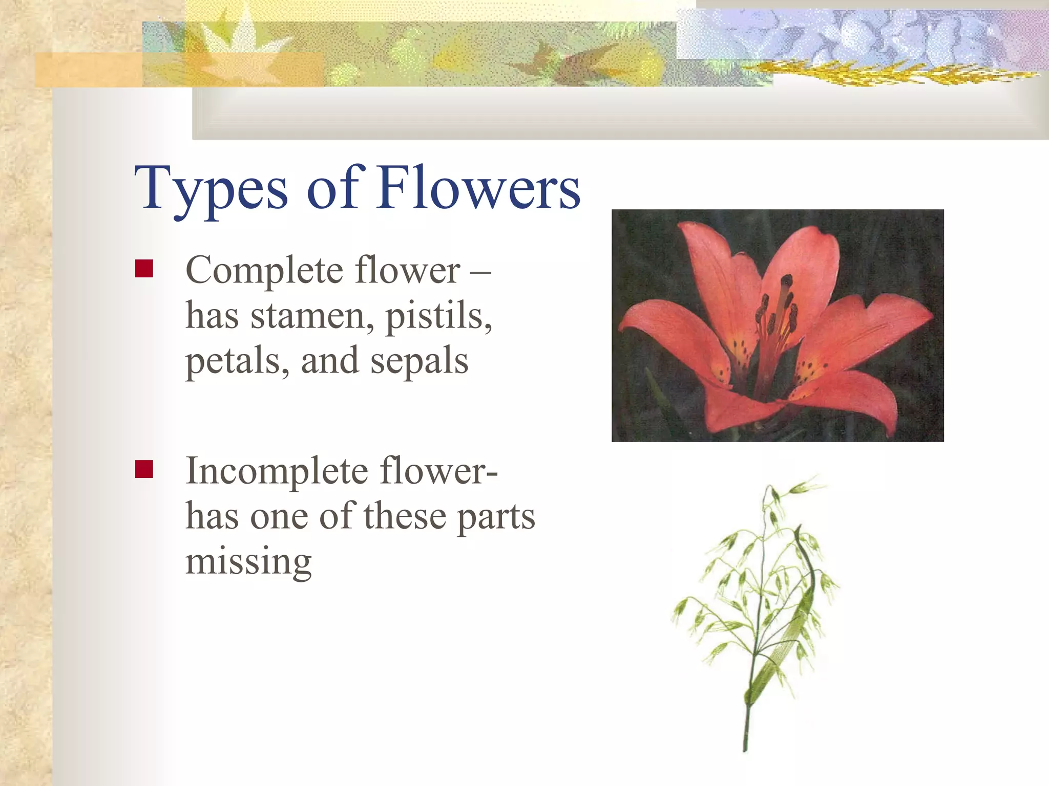 Types of Flowers Complete flower – has stamen, pistils, petals, and sepals Incomplete flower- has one of these parts missing 