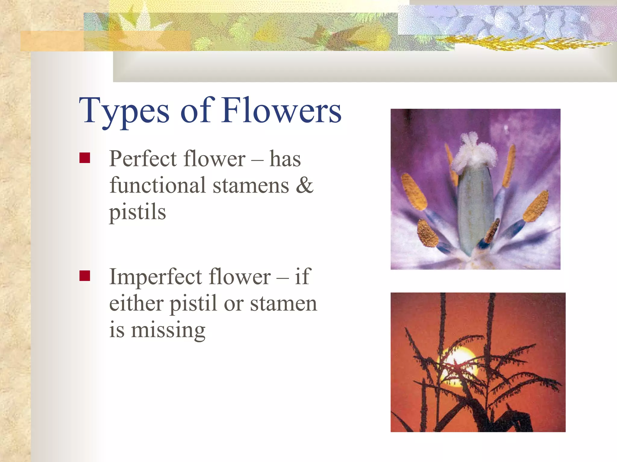 Types of Flowers Perfect flower – has functional stamens & pistils Imperfect flower – if either pistil or stamen is missing 