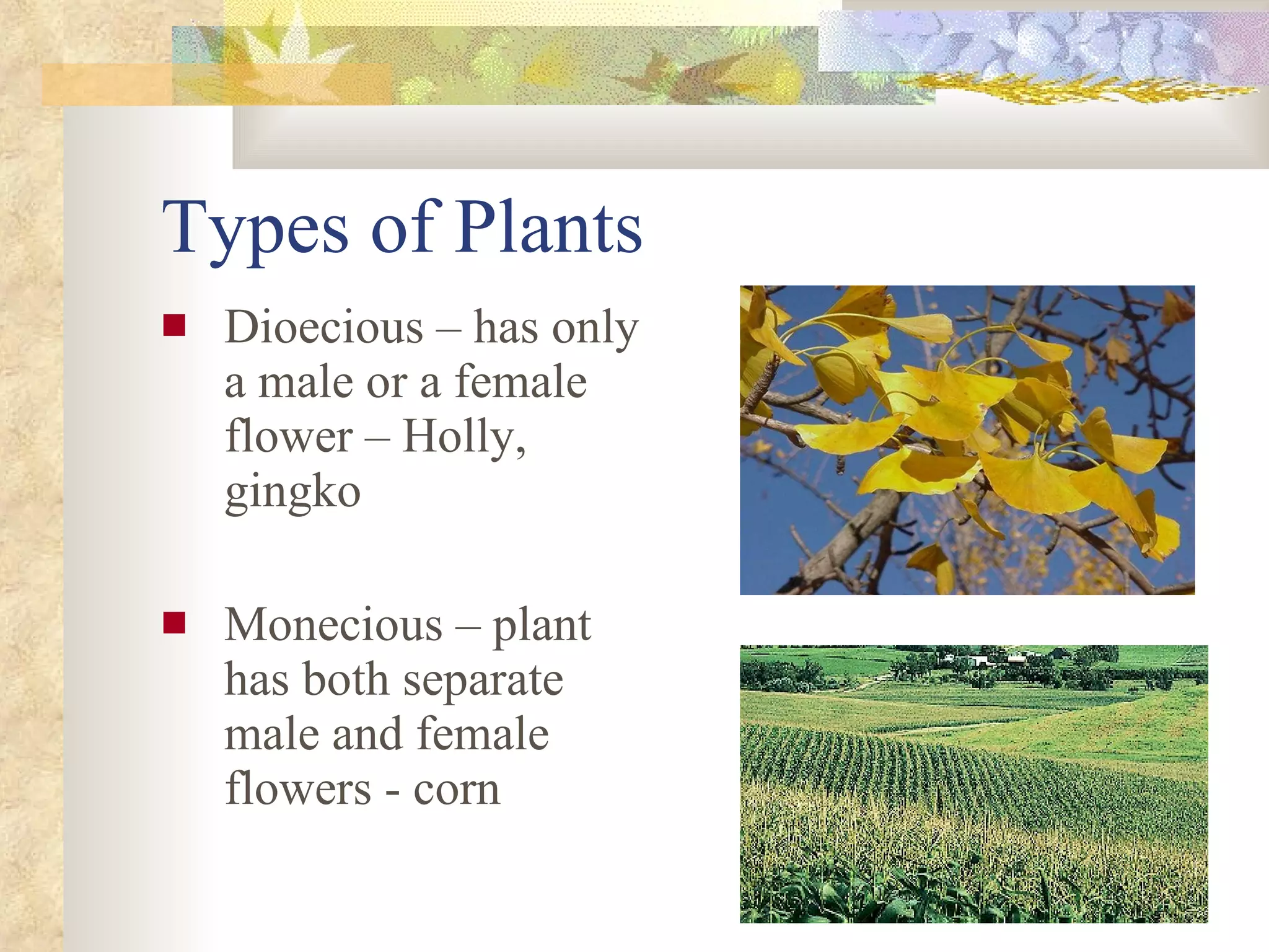 Types of Plants Dioecious – has only a male or a female flower – Holly, gingko Monecious – plant has both separate male and female flowers - corn 