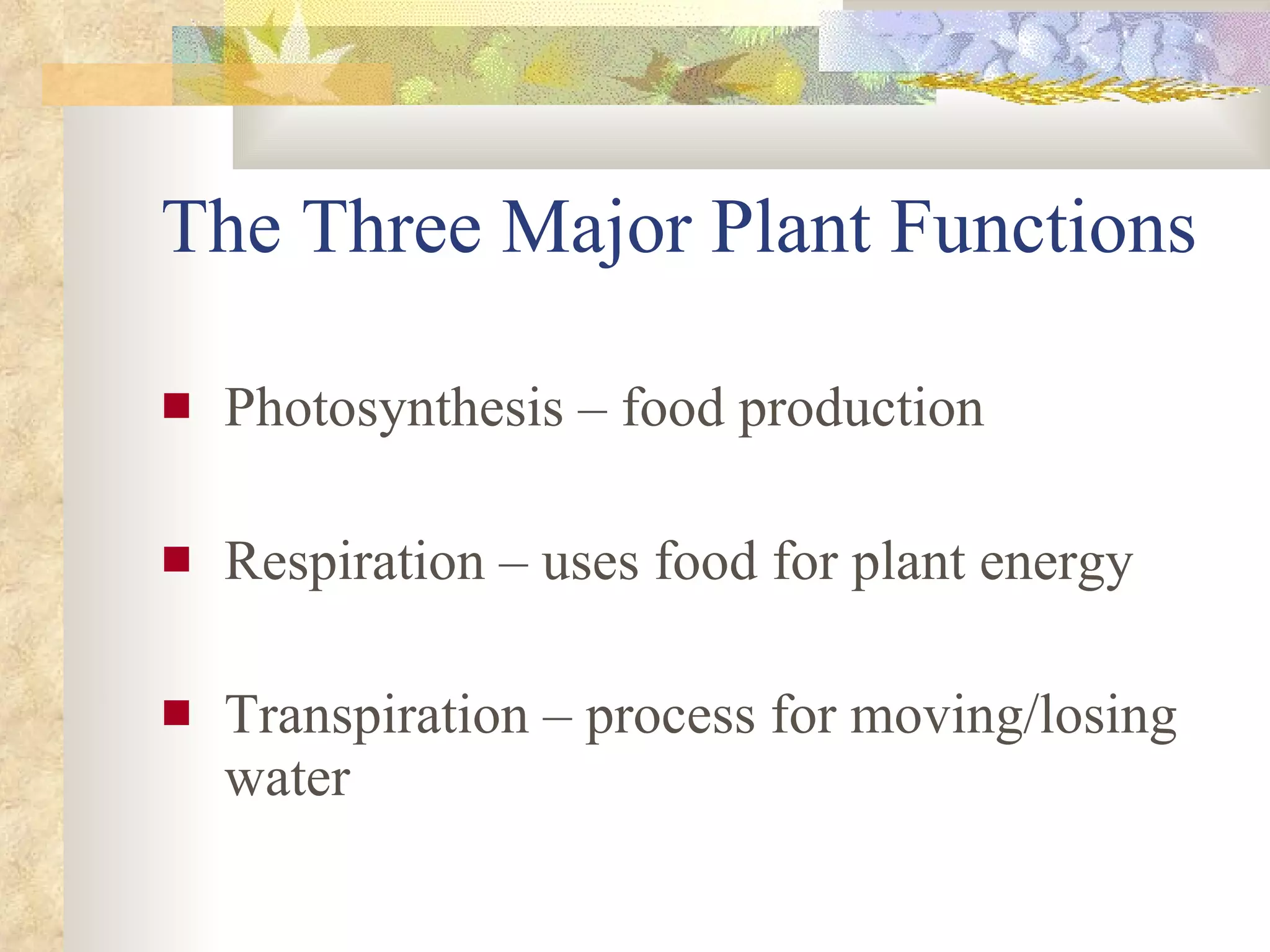 The Three Major Plant Functions Photosynthesis – food production Respiration – uses food for plant energy Transpiration – process for moving/losing water 