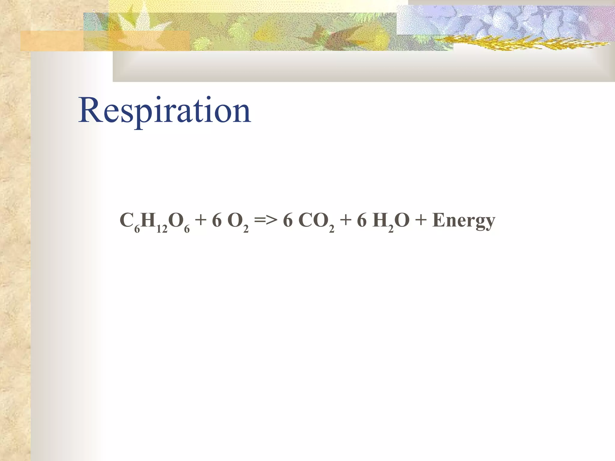 Respiration C 6 H 12 O 6  + 6 O 2  => 6 CO 2  + 6 H 2 O + Energy 