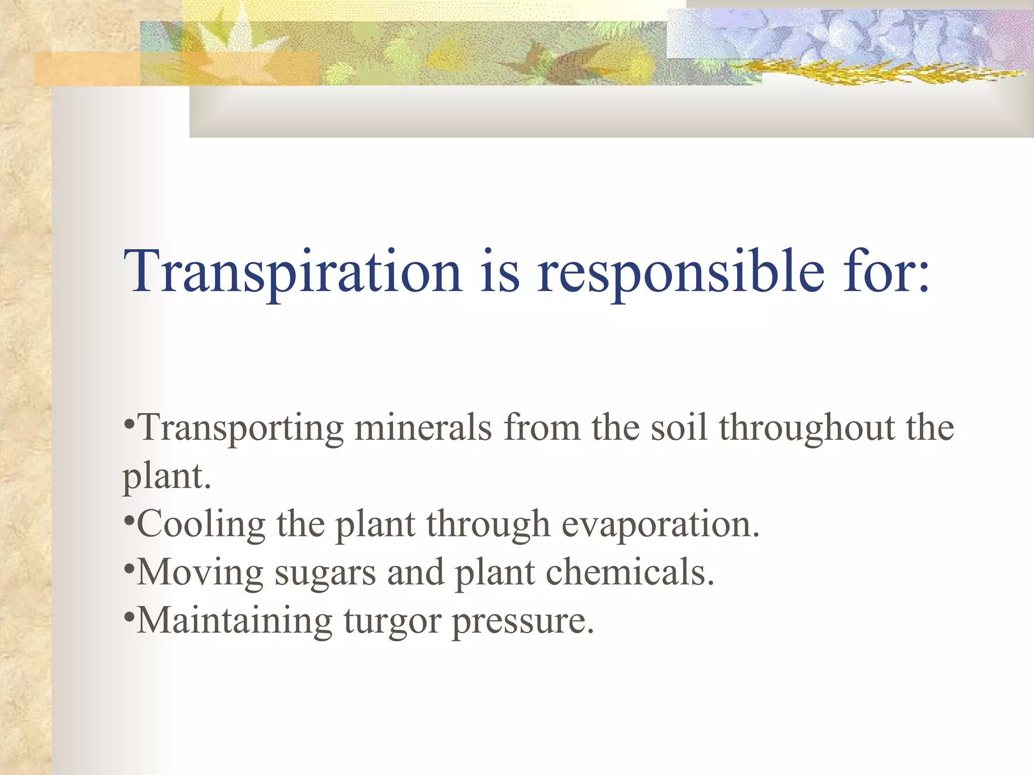 Transpiration is responsible for: Transporting minerals from the soil throughout the plant.  Cooling the plant through evaporation.  Moving sugars and plant chemicals.  Maintaining turgor pressure.  