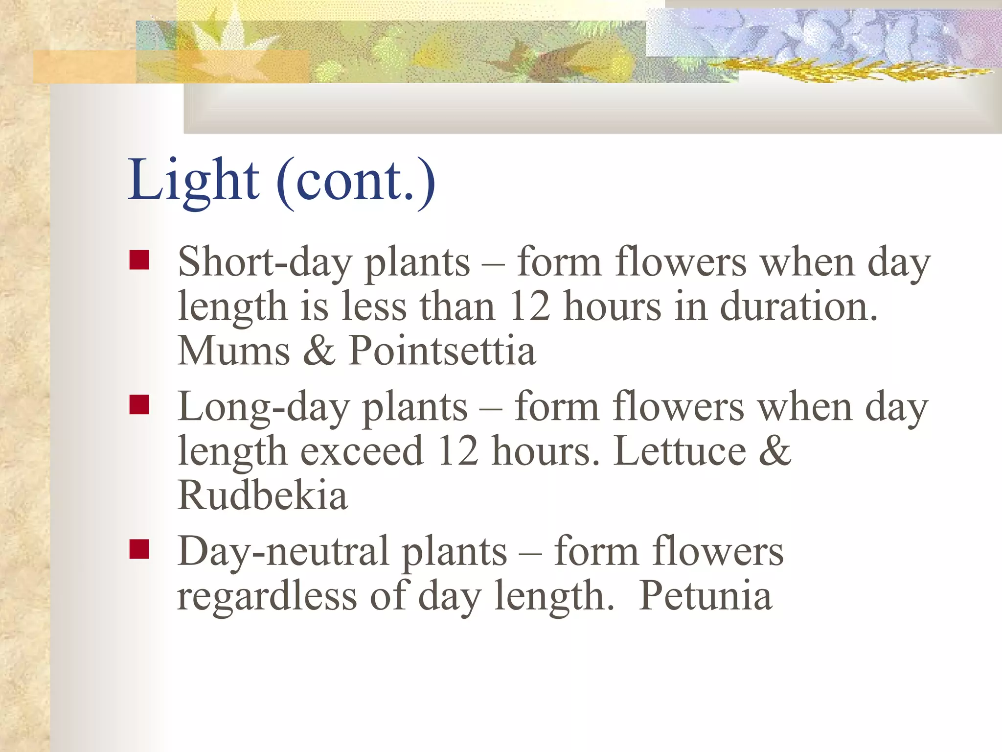 Light (cont.) Short-day plants – form flowers when day length is less than 12 hours in duration. Mums & Pointsettia Long-day plants – form flowers when day length exceed 12 hours. Lettuce & Rudbekia  Day-neutral plants – form flowers regardless of day length.  Petunia 