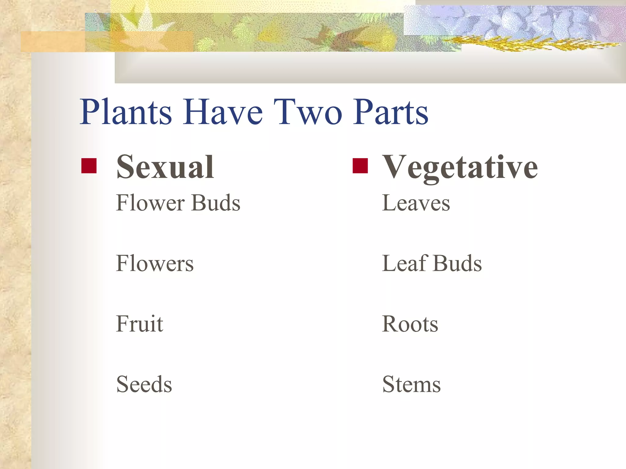 Plants Have Two Parts Sexual Flower Buds Flowers Fruit  Seeds Vegetative Leaves Leaf Buds Roots  Stems  