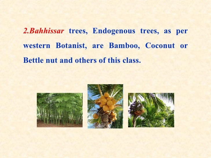 Botany for civil engineers nene